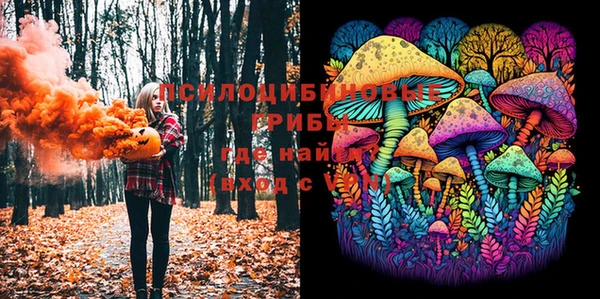 прущая мука Надым