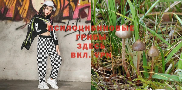 прущая мука Надым