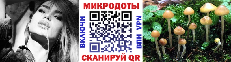 Псилоцибиновые грибы Magic Shrooms  hydra зеркало  Рыльск 